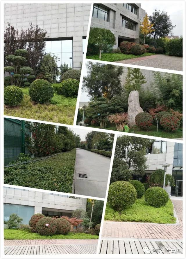微信圖片_20180529084547.jpg