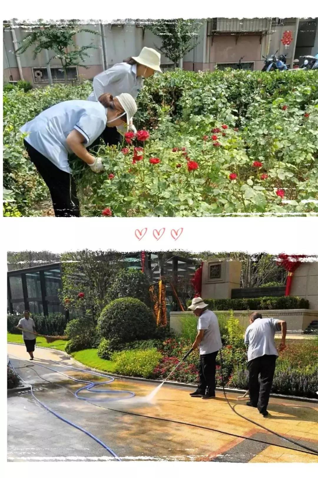 微信圖片_20190731204111.jpg